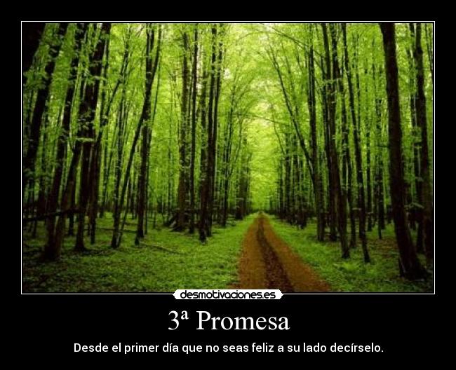 3ª Promesa - 