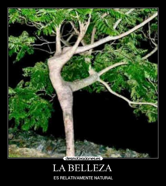 LA BELLEZA -