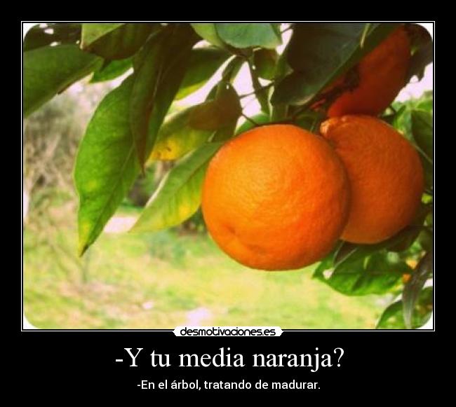-Y tu media naranja? -