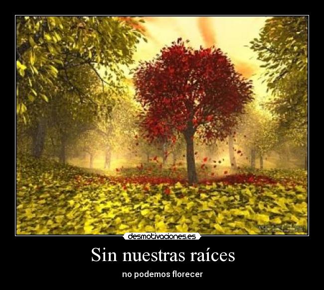 Sin nuestras raíces - no podemos florecer
