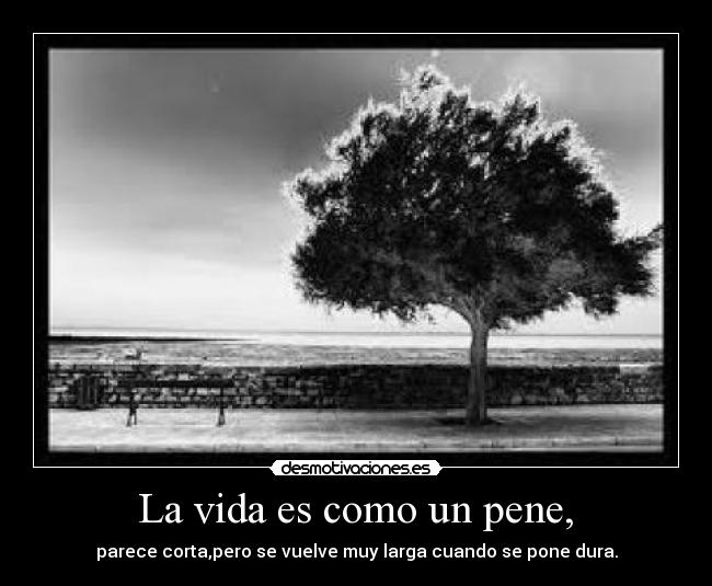 La vida es como un pene, - parece corta,pero se vuelve muy larga cuando se pone dura.