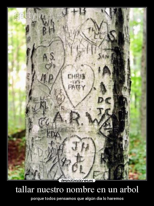 carteles arbol desmotivaciones