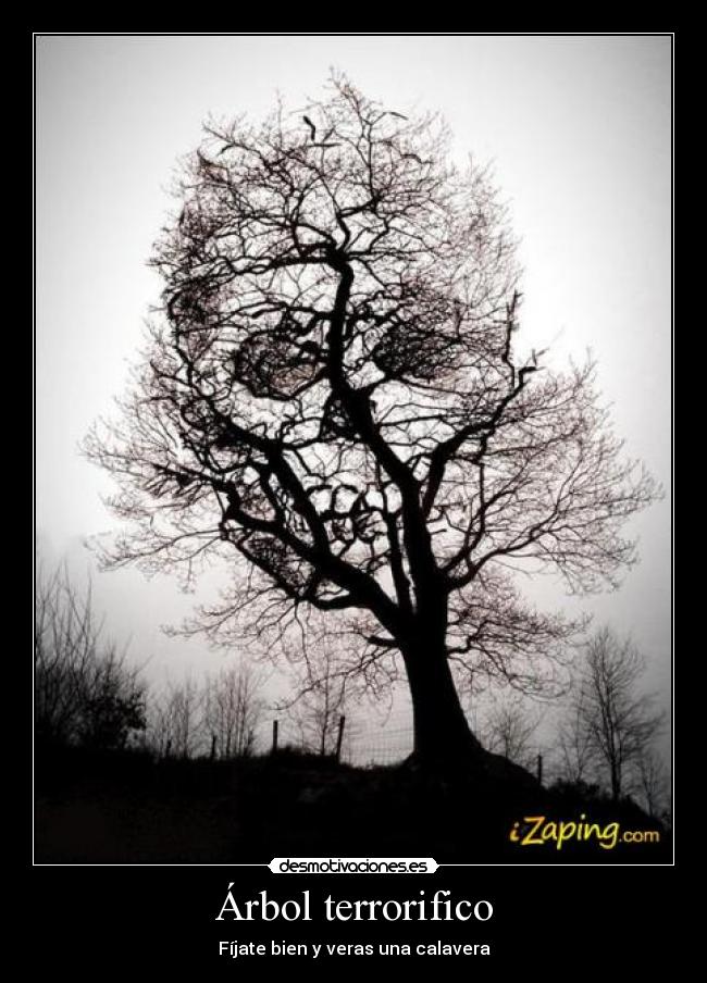 carteles lsdk desmotivaciones