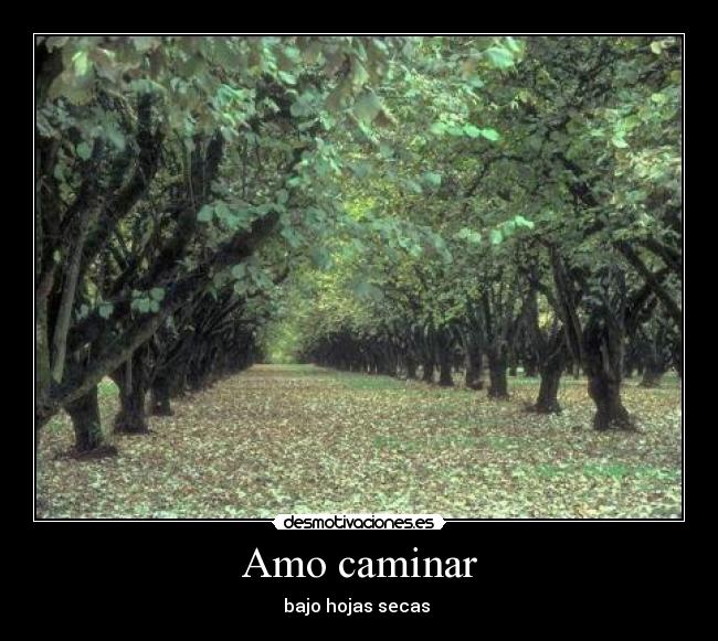 Amo caminar -