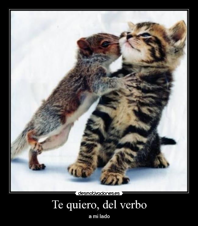 Te quiero, del verbo - 