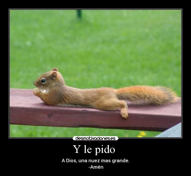 Y le pido  - A Dios, una nuez mas grande.
-Amén