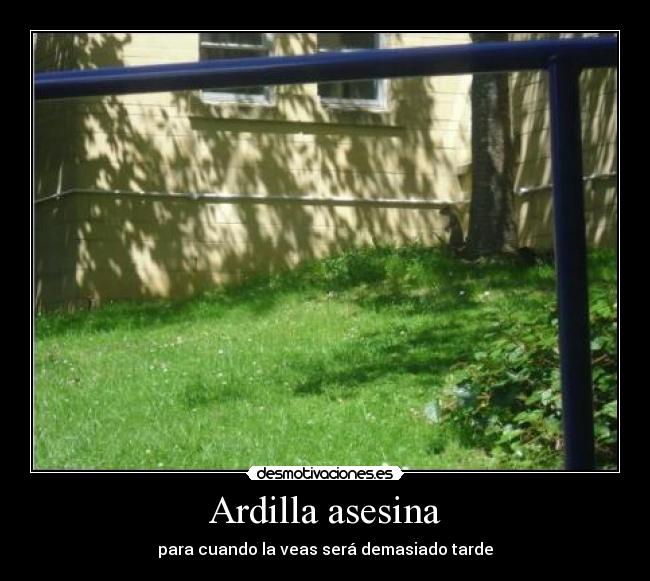 Ardilla asesina - para cuando la veas será demasiado tarde