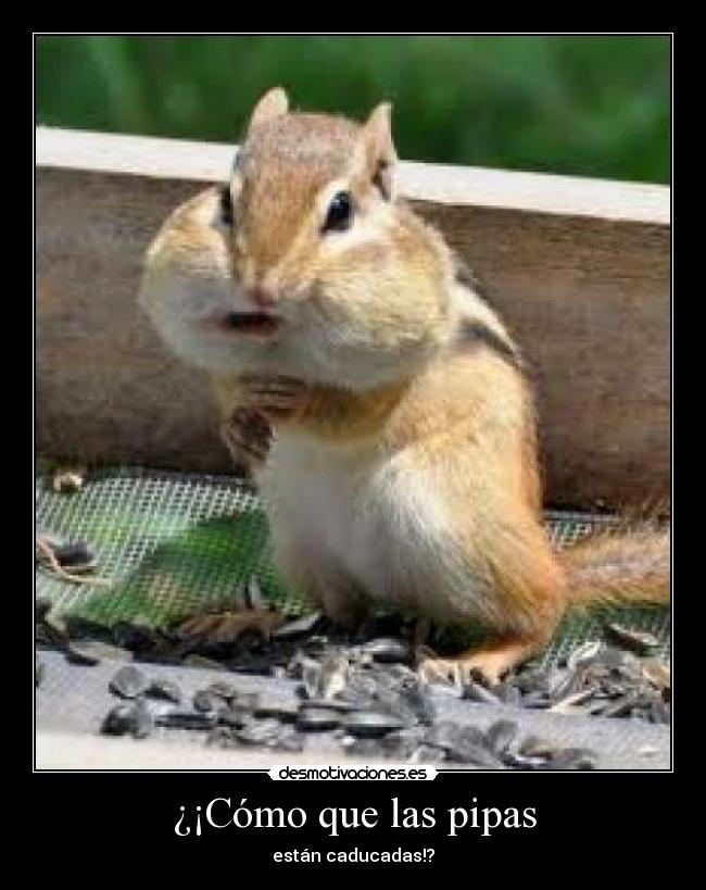 carteles como que las pipas desmotivaciones