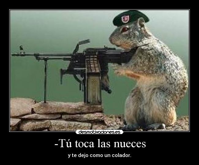 -Tú toca las nueces - y te dejo como un colador.