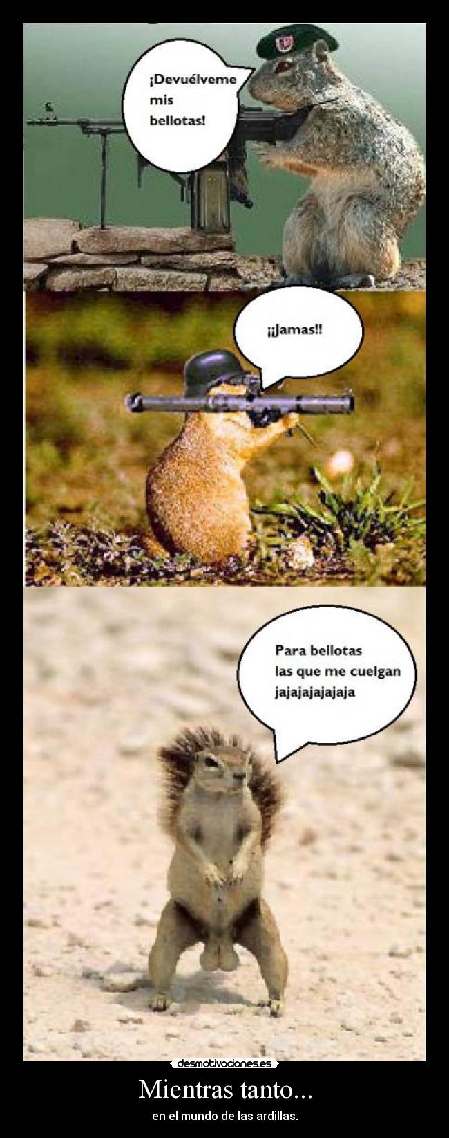 carteles mientras tanto mundo las ardillas desmotivaciones