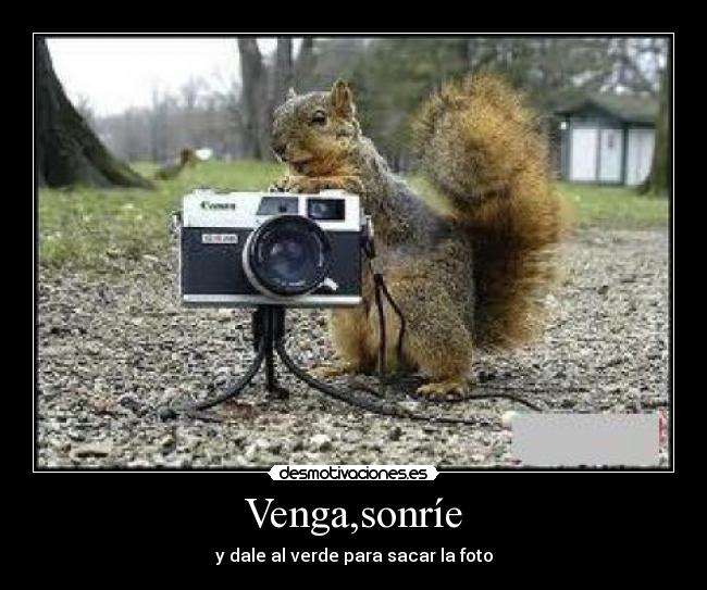 Venga,sonríe - y dale al verde para sacar la foto