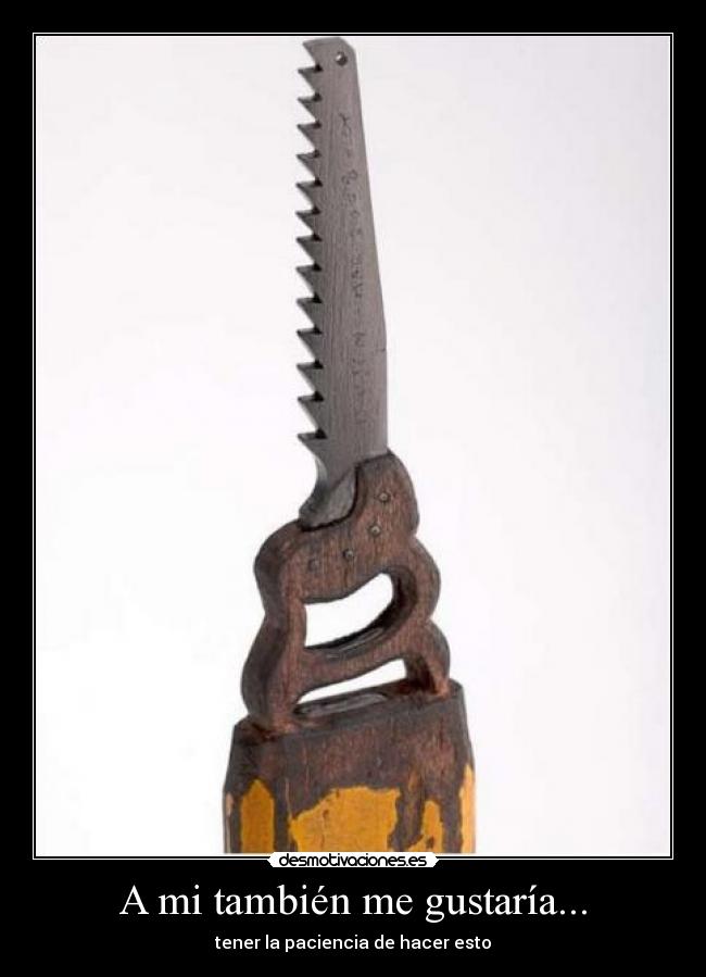 A mi también me gustaría... - tener la paciencia de hacer esto