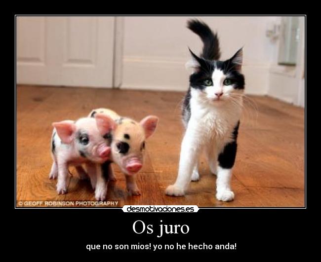 Os juro -