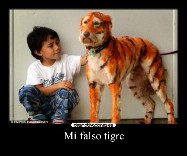 carteles mrscarface desmotivaciones