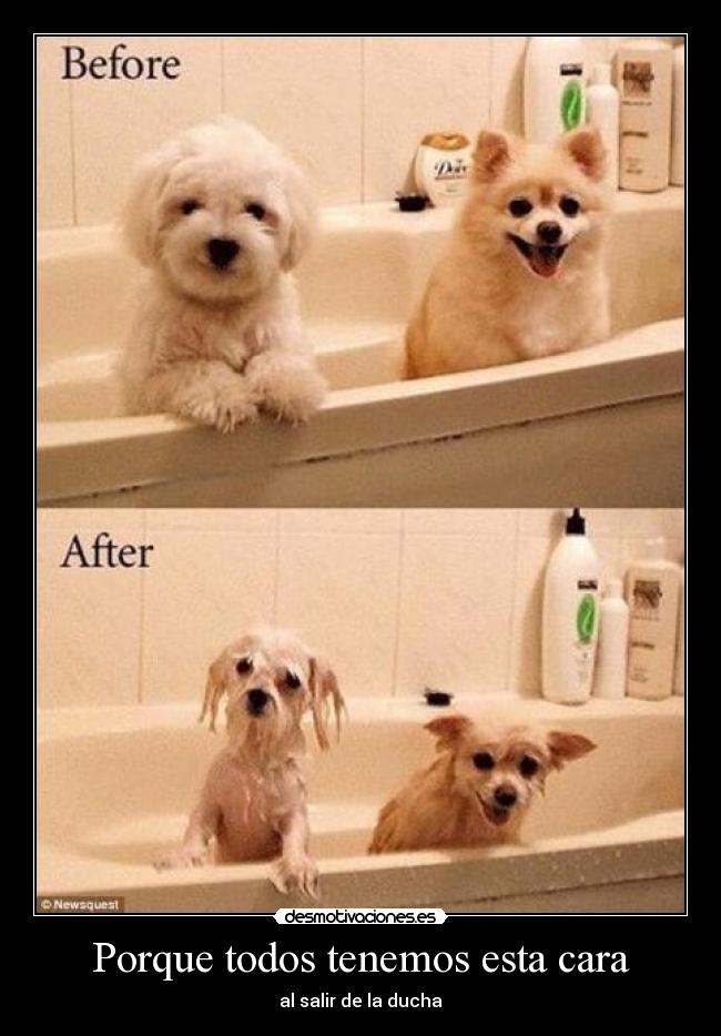 Porque todos tenemos esta cara - 