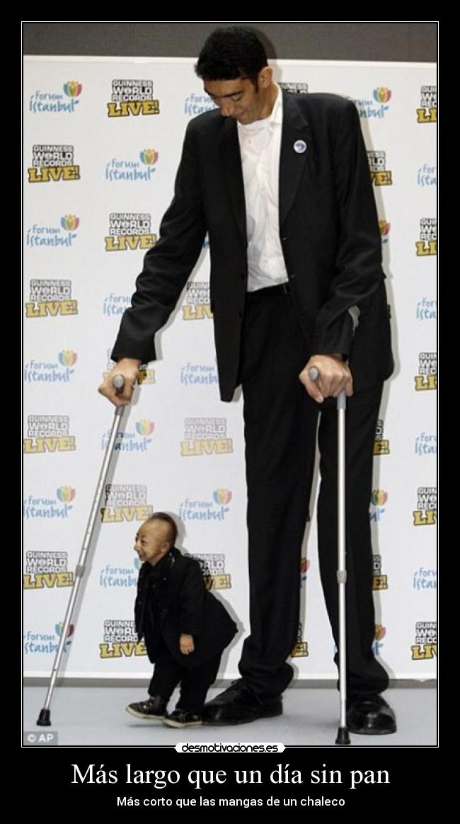 carteles wwwdesmotivacioneses desmotivaciones