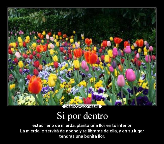 Si por dentro - estás lleno de mierda, planta una flor en tu interior.
La mierda le servirá de abono y te libraras de ella, y en su lugar
tendrás una bonita flor.