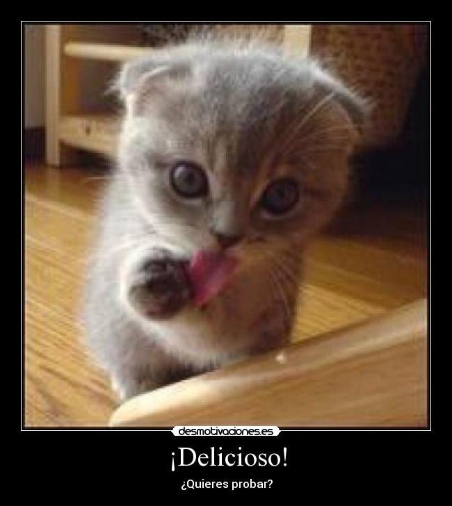 ¡Delicioso! -