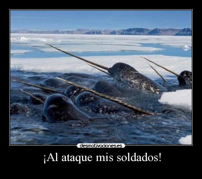 ¡Al ataque mis soldados! -