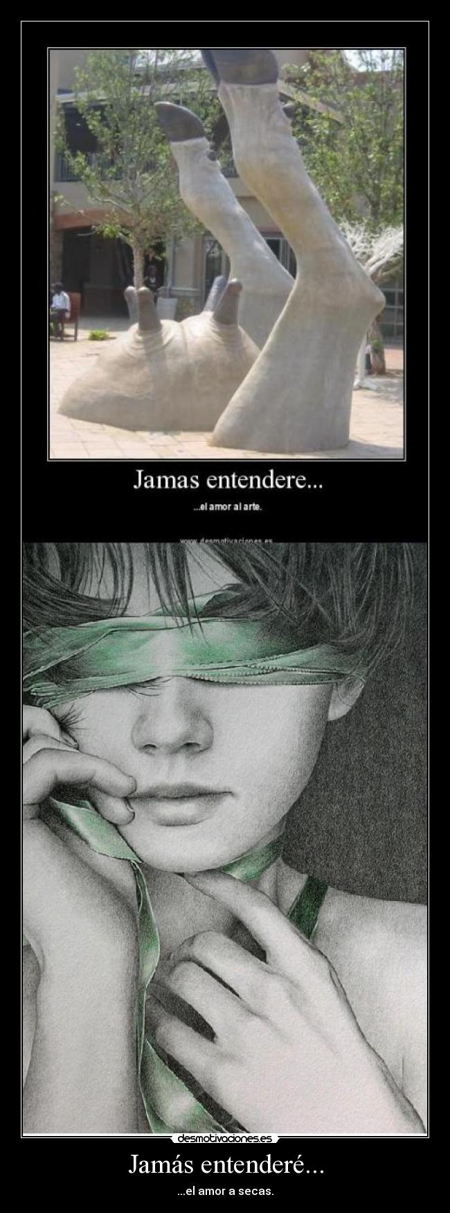 Jamás entenderé... -