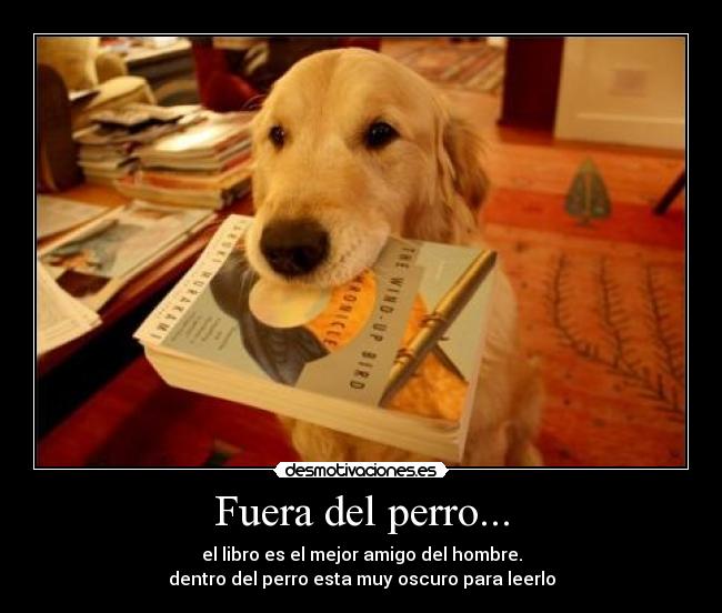 Fuera del perro... -