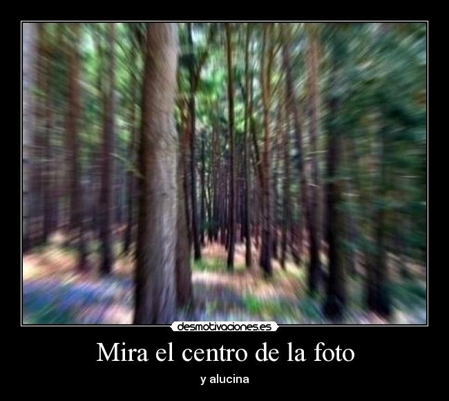 Mira el centro de la foto - y alucina