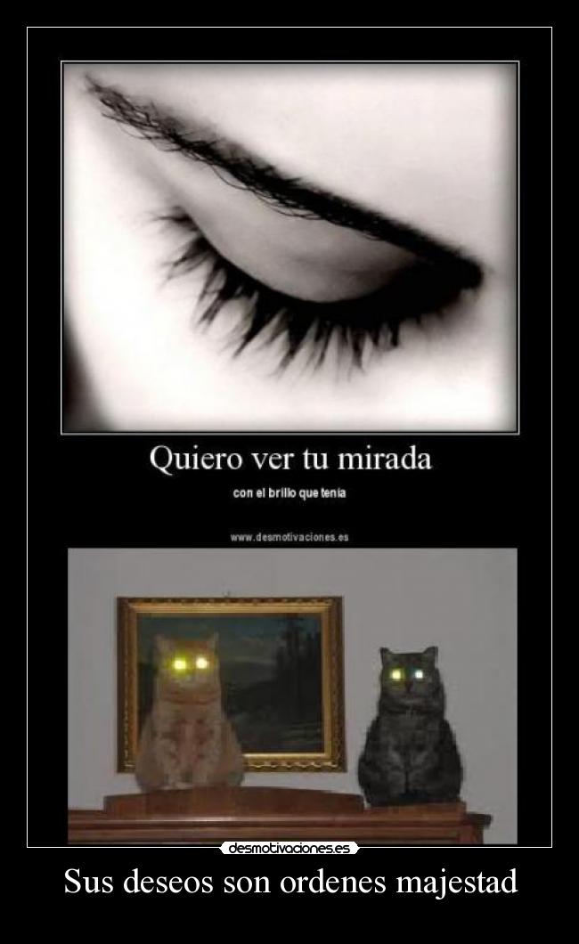 Sus deseos son ordenes majestad - 