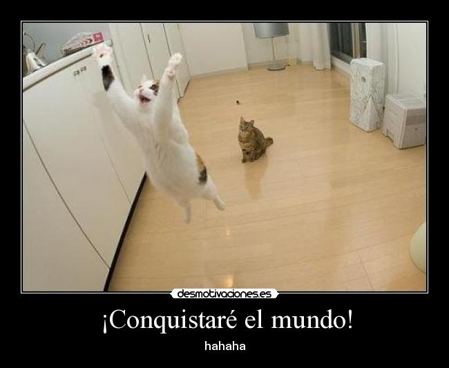 ¡Conquistaré el mundo! - hahaha