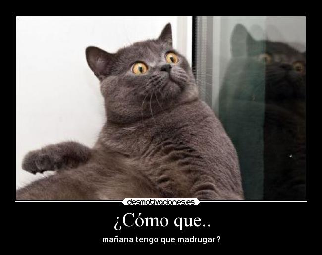 ¿Cómo que.. -