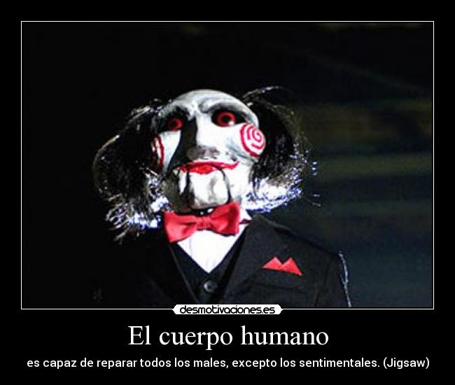 El cuerpo humano - es capaz de reparar todos los males, excepto los sentimentales. (Jigsaw)