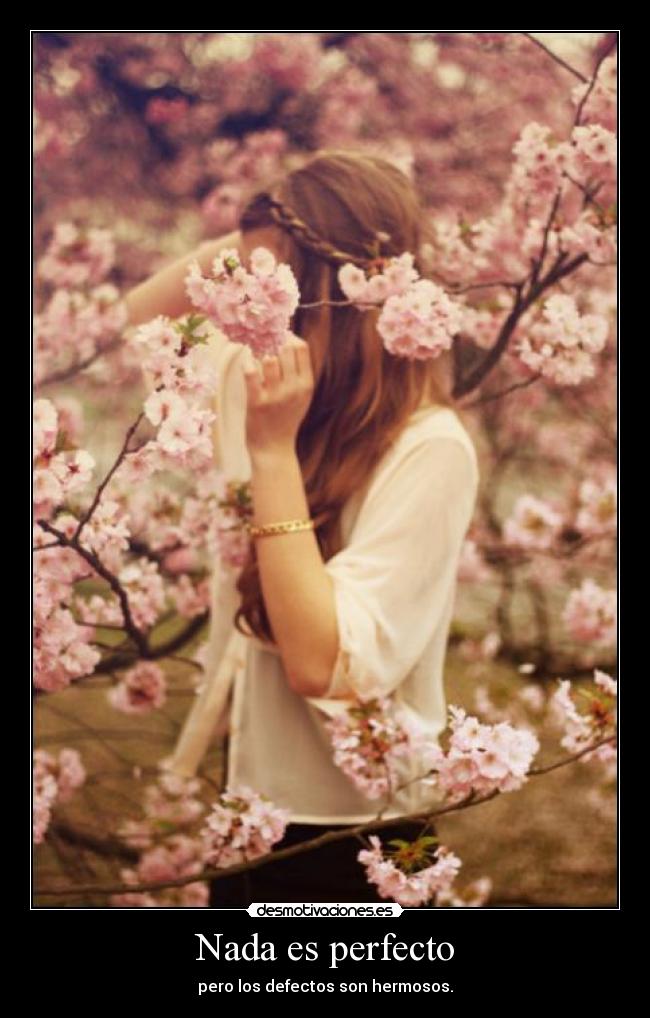 Nada es perfecto -
