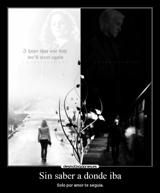 Sin saber a donde iba - 