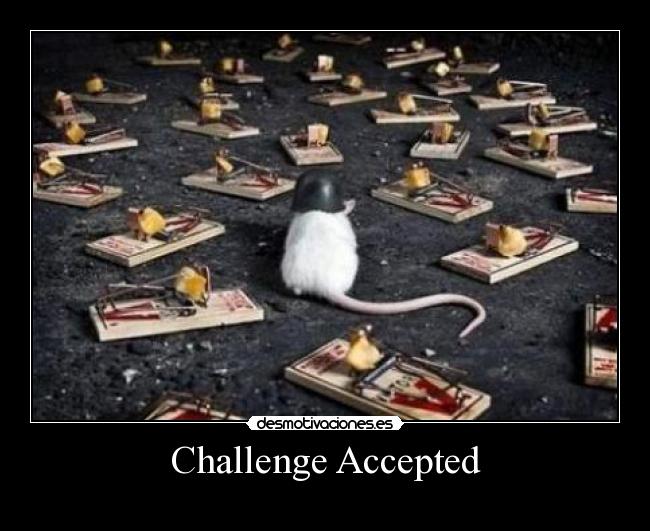 carteles raton desafio desmotivaciones