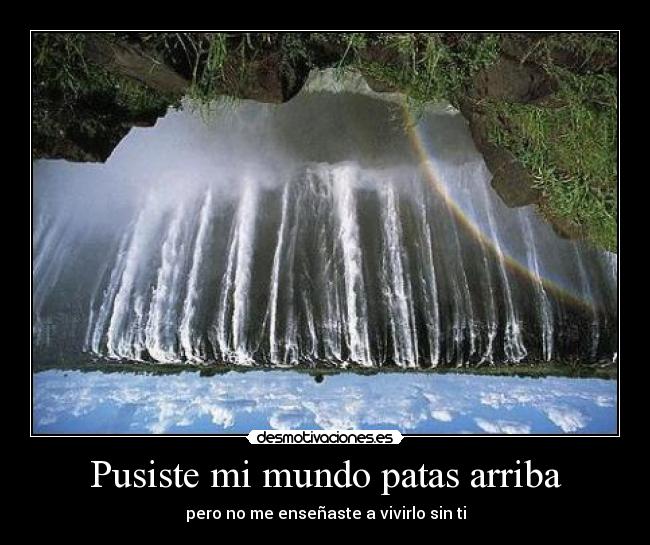 Pusiste mi mundo patas arriba - 