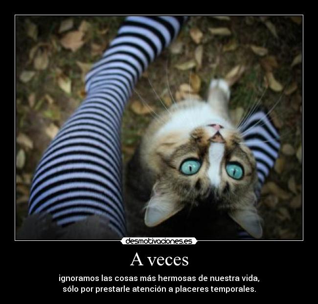 A veces -  ignoramos las cosas más hermosas de nuestra vida, 
sólo por prestarle atención a placeres temporales.