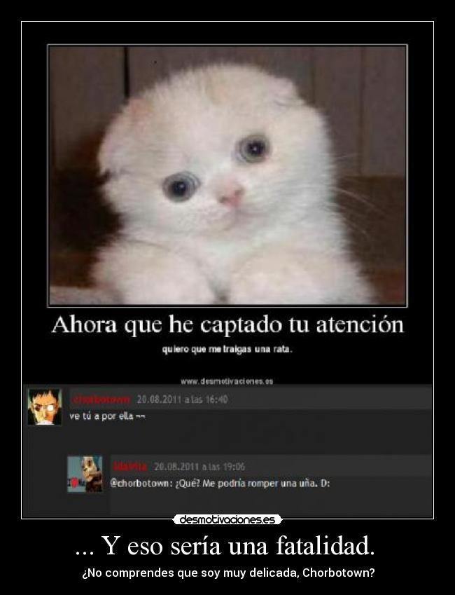 carteles mentira realidad soy delicada solo por joder desmotivaciones