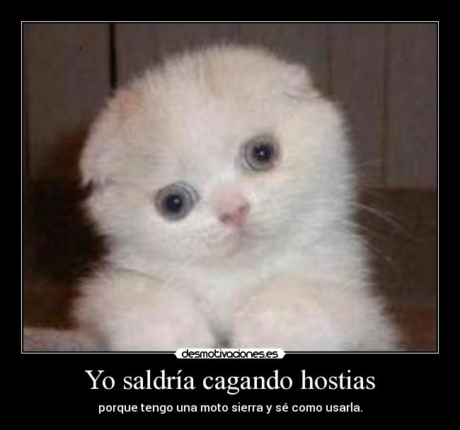 Yo saldría cagando hostias -