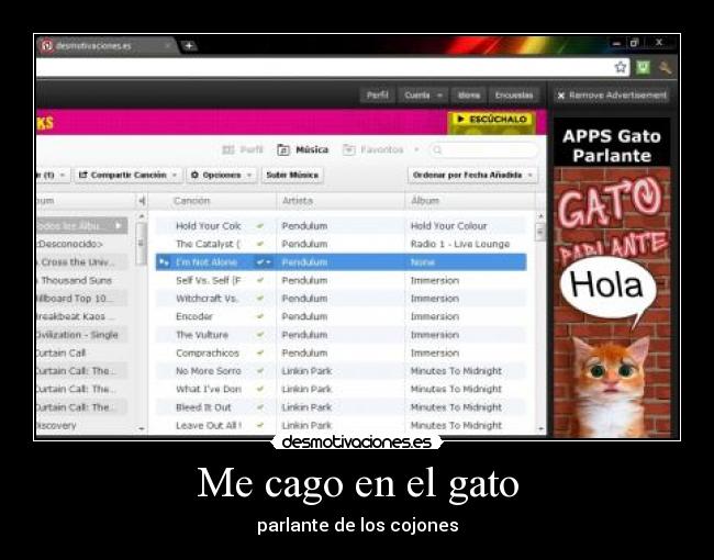 Me cago en el gato - 