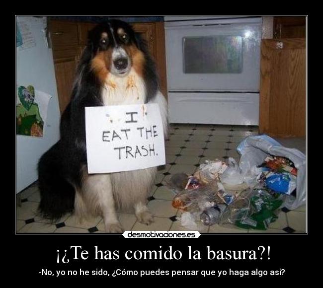¡¿Te has comido la basura?! - -No, yo no he sido, ¿Cómo puedes pensar que yo haga algo asi?