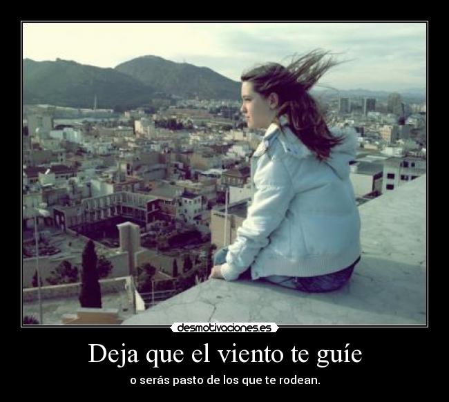 Deja que el viento te guíe -