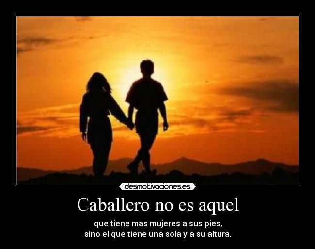 carteles caballero desmotivaciones