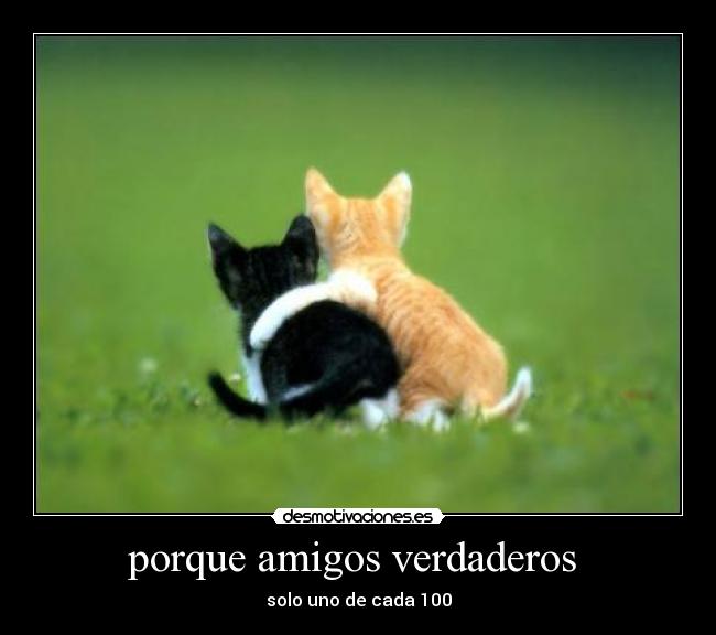 porque amigos verdaderos  - 