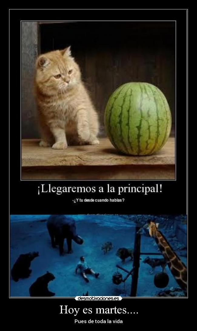 Hoy es martes.... - Pues de toda la vida