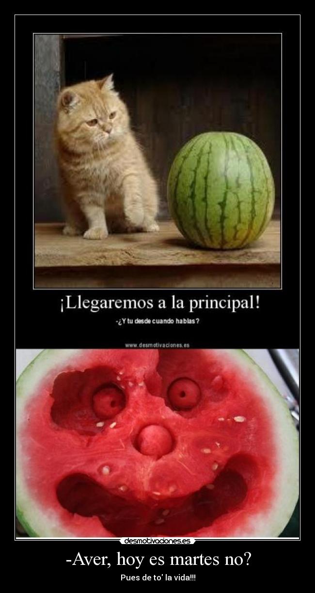 -Aver, hoy es martes no? - Pues de to la vida!!!