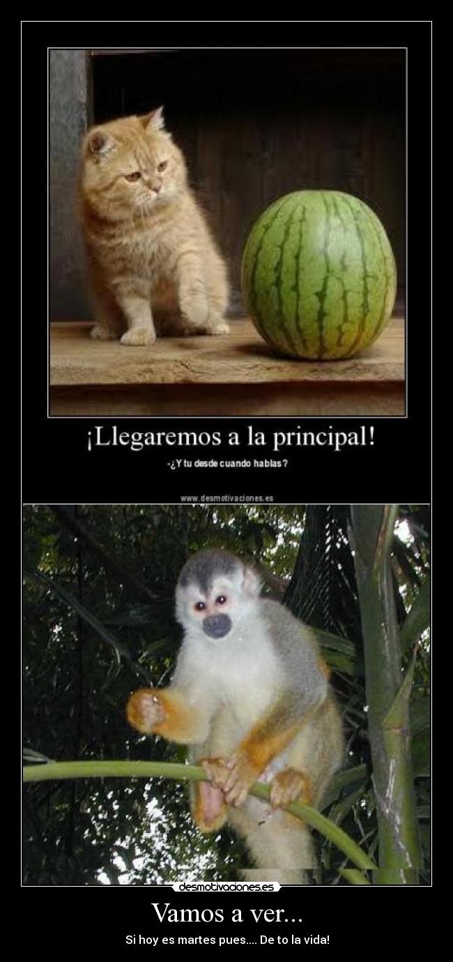 Vamos a ver... - Si hoy es martes pues.... De to la vida!