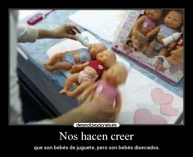Nos hacen creer - que son bebés de juguete, pero son bebés disecados.