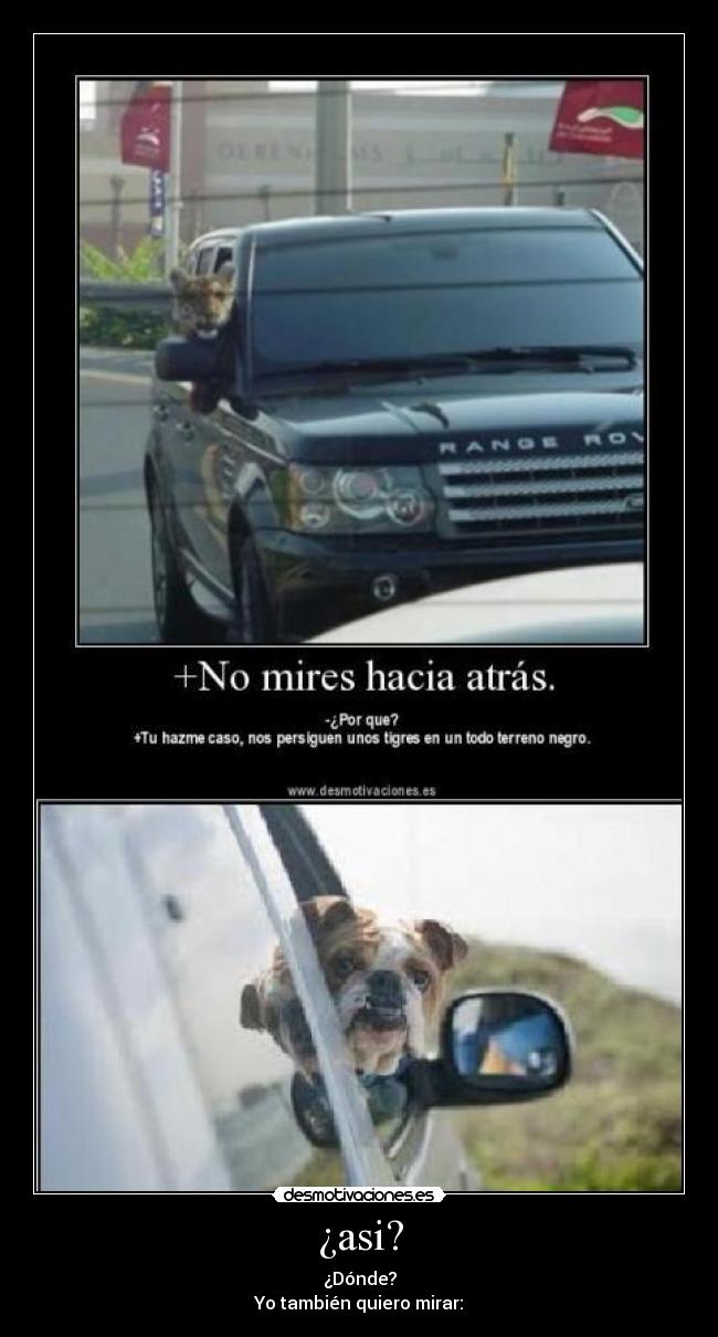 ¿asi? - ¿Dónde?
Yo también quiero mirar: