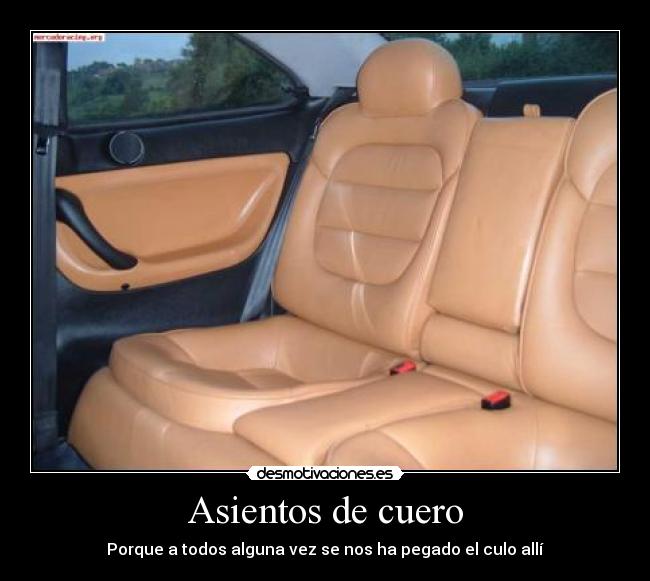 Asientos de cuero - 