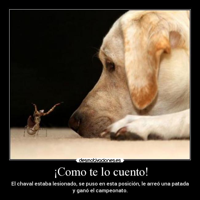 ¡Como te lo cuento! - 