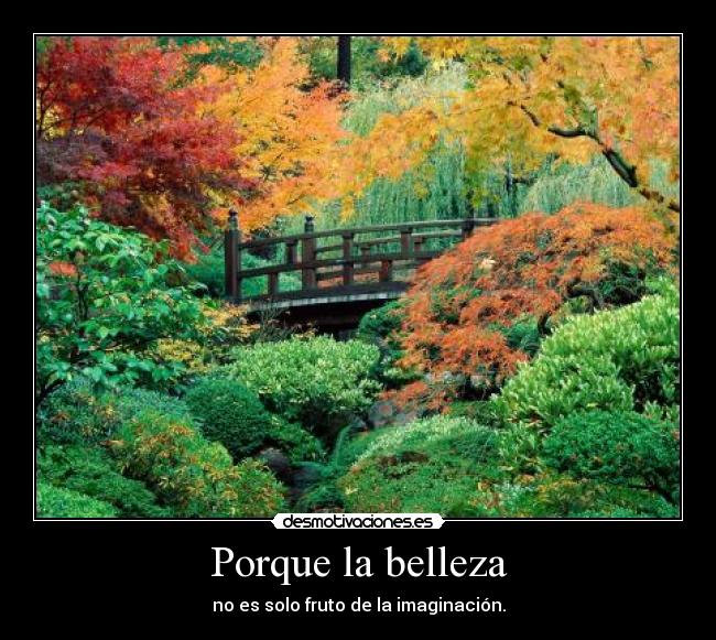 Porque la belleza -